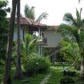 Coconut Island