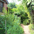 Image 18