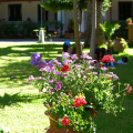 Image 23