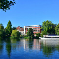Image 21