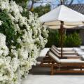 Revivo Wellness Resorts