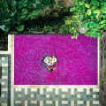 Bucu View Resort