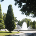 Image 21