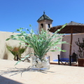 Image 17