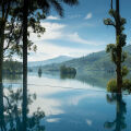 Ceylon Tea Trails