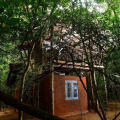 Back Of Beyond - Pidurangala