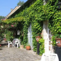 Image 8