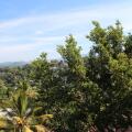 Alex Home Stay