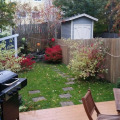 Image 14