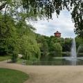 Image 10