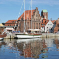 Image 15