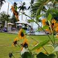 Sun & Sands Beach Hotel