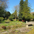 Image 11