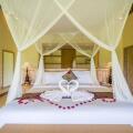 Atta Mesari Villas