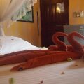 Hotel Flower Garden