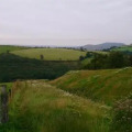 Image 39
