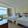 Golden Palm Resort