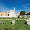 Image 15