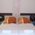 Image 13