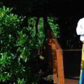 Jetwing Kurulubedda