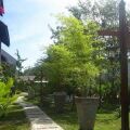 Villa Molek