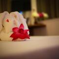Arena Hotel