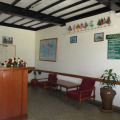 Image 15