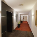 Image 13