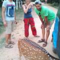 Nilaveli Beach Hotel