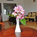 Sandhills Beach Resort & Spa
