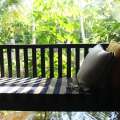 Kaju Green Eco Lodges Hotel