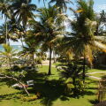 Paradise Beach Club
