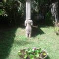 Turtle Eco Beach