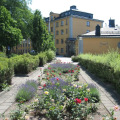 Image 15