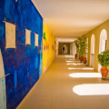Image 10
