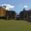 Image 18