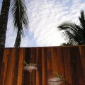 North Borneo Biostation Resort