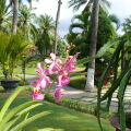 Le Viva Mui Ne Resort