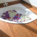 Refresh Hotel