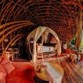 Bambu Indah