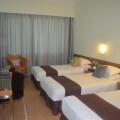 Tang Dynasty Park Hotel