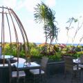 The Nest Hotel Bali