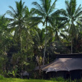 Capella Ubud