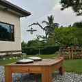 Image 39
