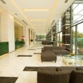 Areca Nha Trang