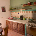 Image 15
