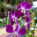 Hilda Guest House