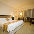 Equatorial Ho Chi Minh