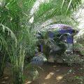 Rudra Holidays Guest House