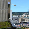 Image 13